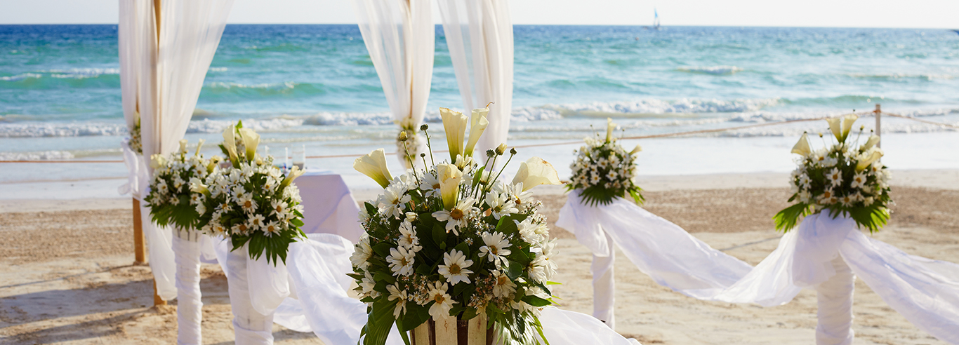 North Myrtle Beach Wedding Group Header Bahama Sands Luxury